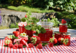 Selbstgemachte Köstlichkeiten: Marmeladen, Säfte und Trockenfrüchte aus eigener Ernte