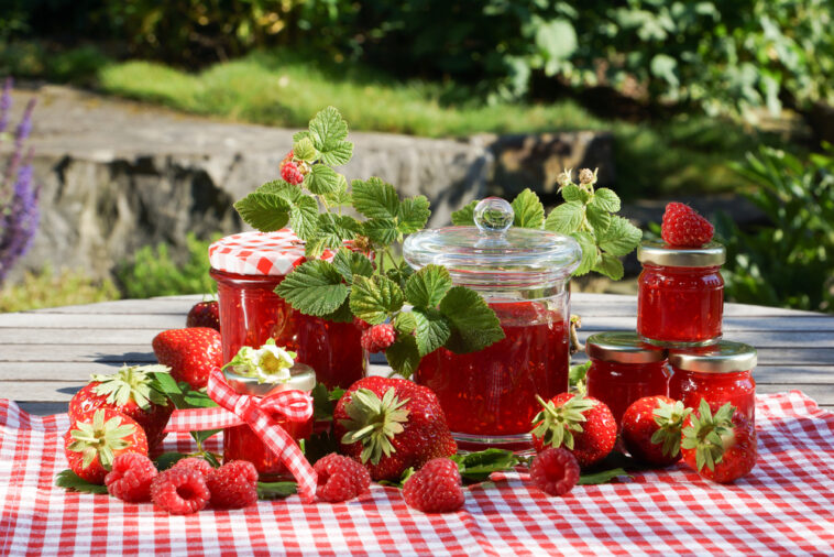 Selbstgemachte Köstlichkeiten: Marmeladen, Säfte und Trockenfrüchte aus eigener Ernte