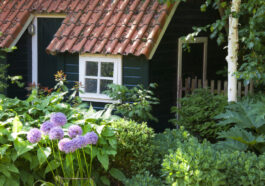 Dauerbewohnung im Schrebergarten: Rechtliche Grundlagen in der Schweiz