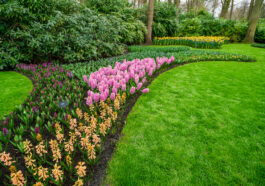 Einen Vier-Jahreszeiten-Garten gestalten