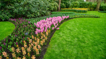 Einen Vier-Jahreszeiten-Garten gestalten