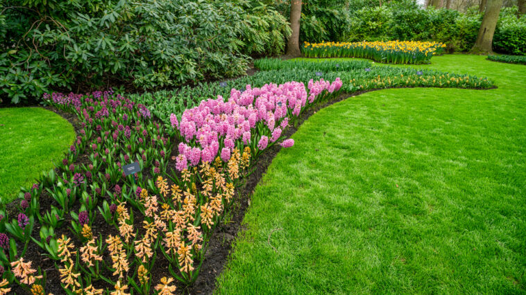 Einen Vier-Jahreszeiten-Garten gestalten