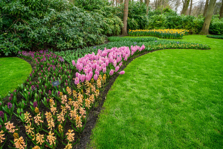 Einen Vier-Jahreszeiten-Garten gestalten
