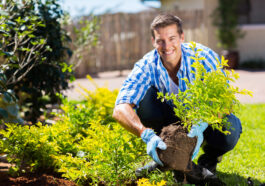 Wie Smart Gardening unsere Beziehung zur Natur verändert