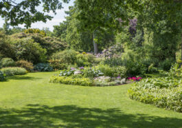 Einen barrierefreien Garten planen