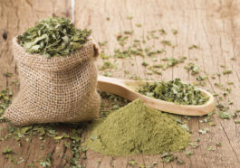 Pflanzen, die mehr können als nur gut aussehen