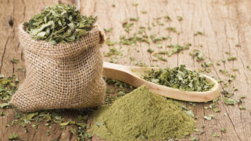 Pflanzen, die mehr können als nur gut aussehen