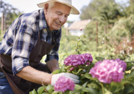 Rückenschonend gärtnern: Ergonomie, Hebetechnik und clevere Tools für weniger Belastung