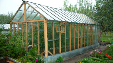 Mehr Licht ist nicht automatisch besser: Welche Rolle Plattenstärke, Lichtdurchlass und Stabilität im Gewächshaus spielen