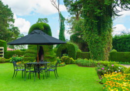 Wie gestalte ich meinen Garten pflegeleicht?