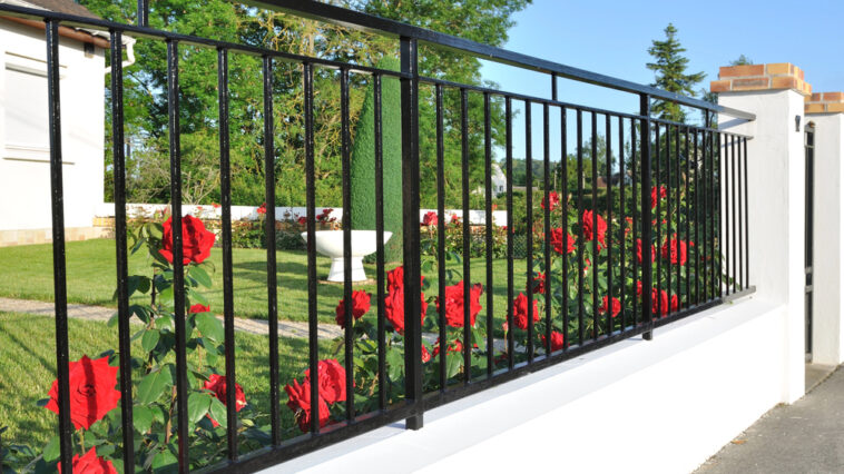 Garten einzäunen mit Augenmaß: Welche Zaunarten zu Grundstück, Pflegeaufwand und Nutzung passen