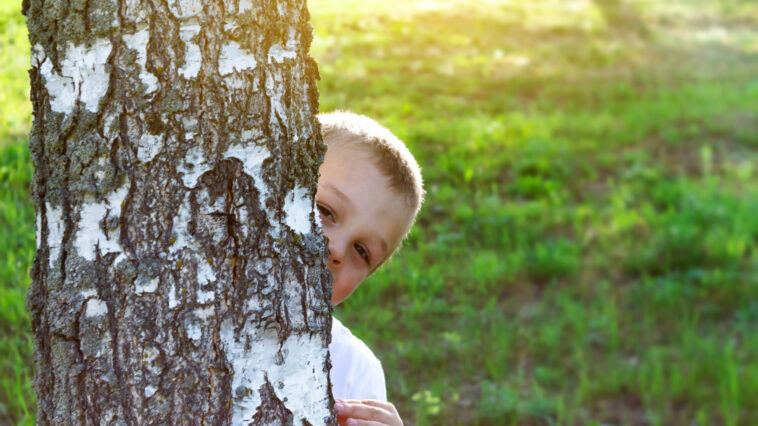 Wie der richtige Baum den Charakter eines Gartens prägt