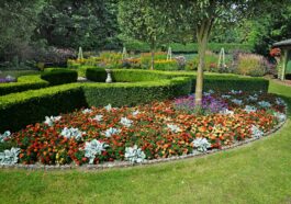 Beete im Garten anlegen: 6 schöne Ideen zur Gestaltung