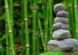 Praktische Alltagshelfer für Garten, Balkon & Terrasse vorgestellt