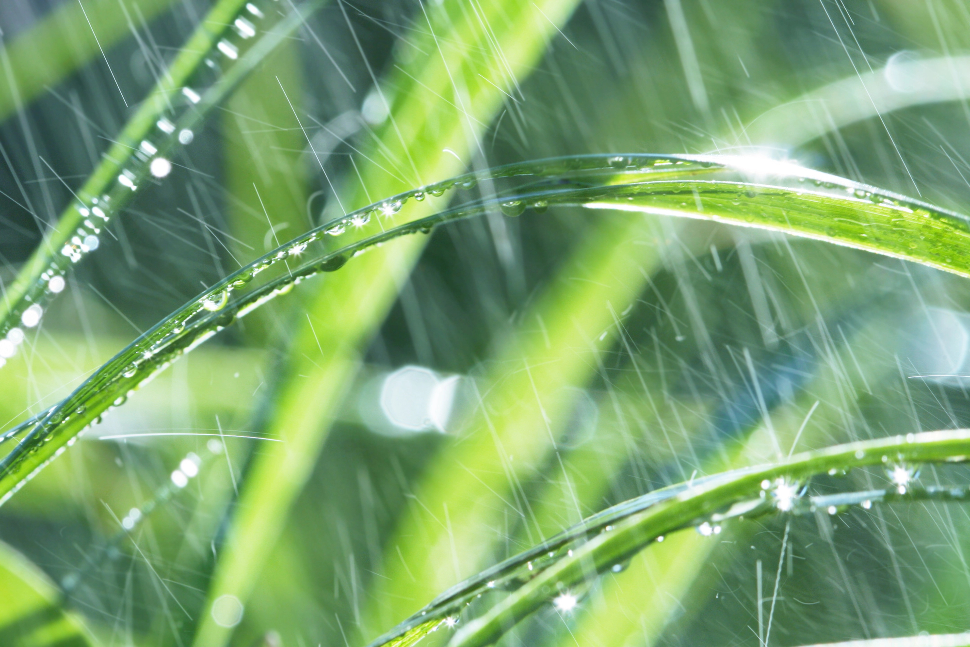 Sickerleitung im Garten: Der ultimative Leitfaden für effektives Regenwasser-Management