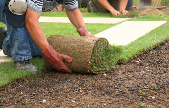 Gartenprojekt richtig vorbereiten – darauf sollten Besitzer vor dem Bau von Pool, Terrasse oder Gartenhaus achten